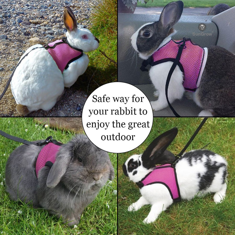 SunGrow Rabbit Harness and Leash, 6.4 - 8 Inches (Neck Circumference), 8 - 12.8 Inches (Bust), 4.9 Inches (Chest), Pink, Mesh Nylon Fabric, Touch Fasteners for Securing - PawsPlanet Australia