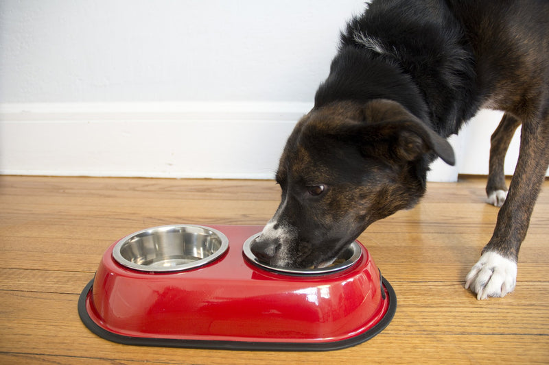 [Australia] - Iconic Pet 2-Cup Color Splash Stainless Steel Double Diner for Dog/Cat Red 