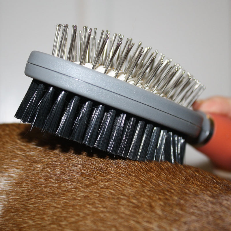 Professional Double Sided Pin & Bristle Brush for Dogs & Cats by GoPets Grooming Comb Cleans Pets Shedding & Dirt for Short Medium or Long Hair - PawsPlanet Australia