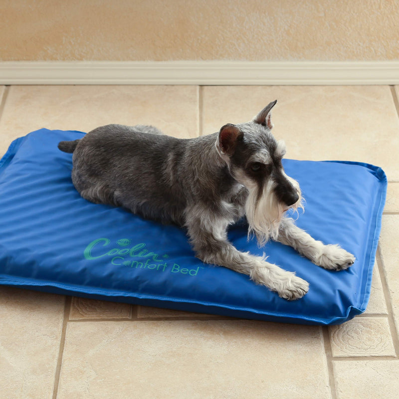 [Australia] - K&H Pet Products Coolin' Comfort Bed - Ultra Thick Cooling Orthopedic Pet Bed, Medium (22" x 32") 