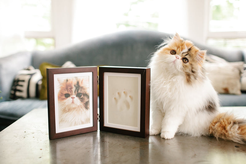 Pearhead Pet Picture Frame and Paw Print Kit, Keepsake Gift for Pet Owners, Great For Dog or Cat, espresso frame, clay - PawsPlanet Australia