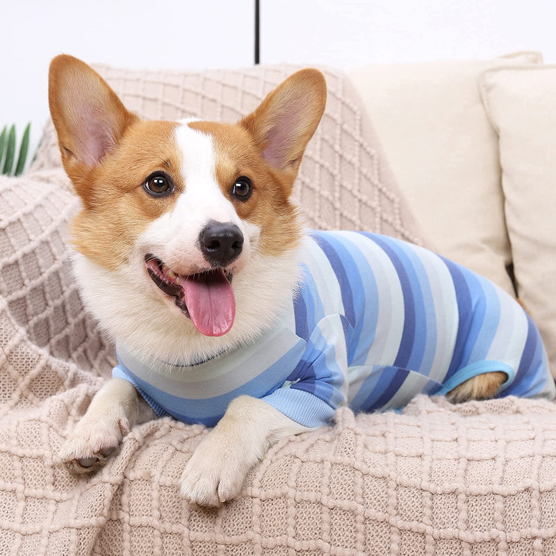 Hipet Dog Onesie After Surgery Dog Surgical Recovery Suit Female Male for Abdominal Wounds, Bodysuit With Sleeve Prevent Licking Biting Shedding E-Collar Alternative Pajamas For Small Medium Dog S Blue - PawsPlanet Australia