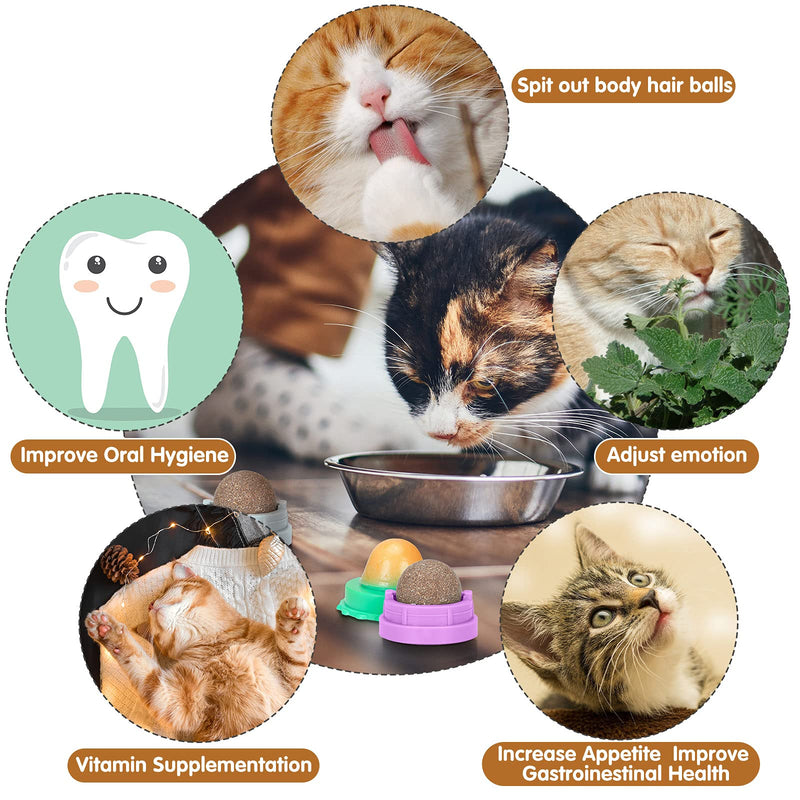 4 Pieces Catnip Ball Cat Toys Rotatable Self-Adhesive Catnip Safe Healthy Toys Cat Snacks Candy Cat Mint Balls for Kittens Molar Teeth Cleaning Dental Playing - PawsPlanet Australia