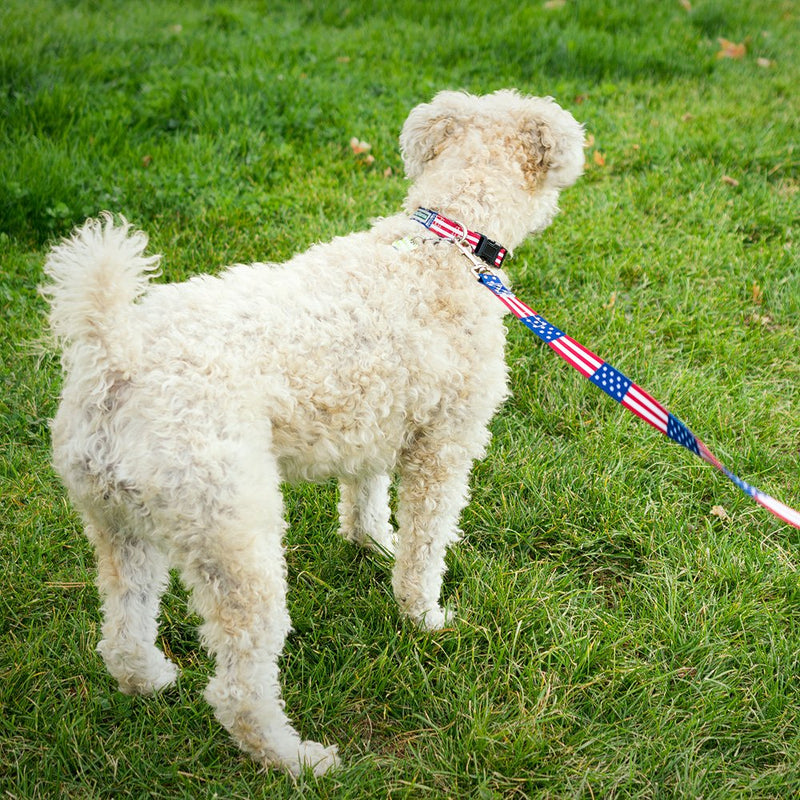 [Australia] - American Flag Dog Leash Large 