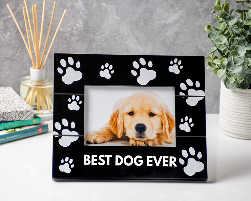 Pumba & Co. Dog Memorial Picture Frame with Sympathy Card - Beautiful Pet Sympathy Gifts for Dogs black - PawsPlanet Australia