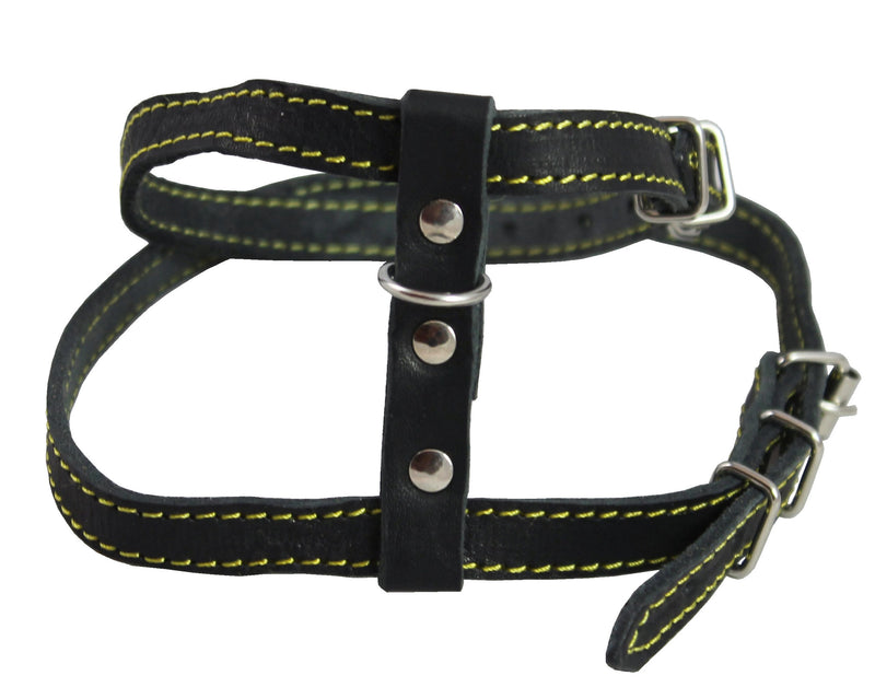 [Australia] - Dogs My Love Real Leather Feline Harness, 16"-18.5" Chest, 1/2" Wide, Medium to Large Cats 