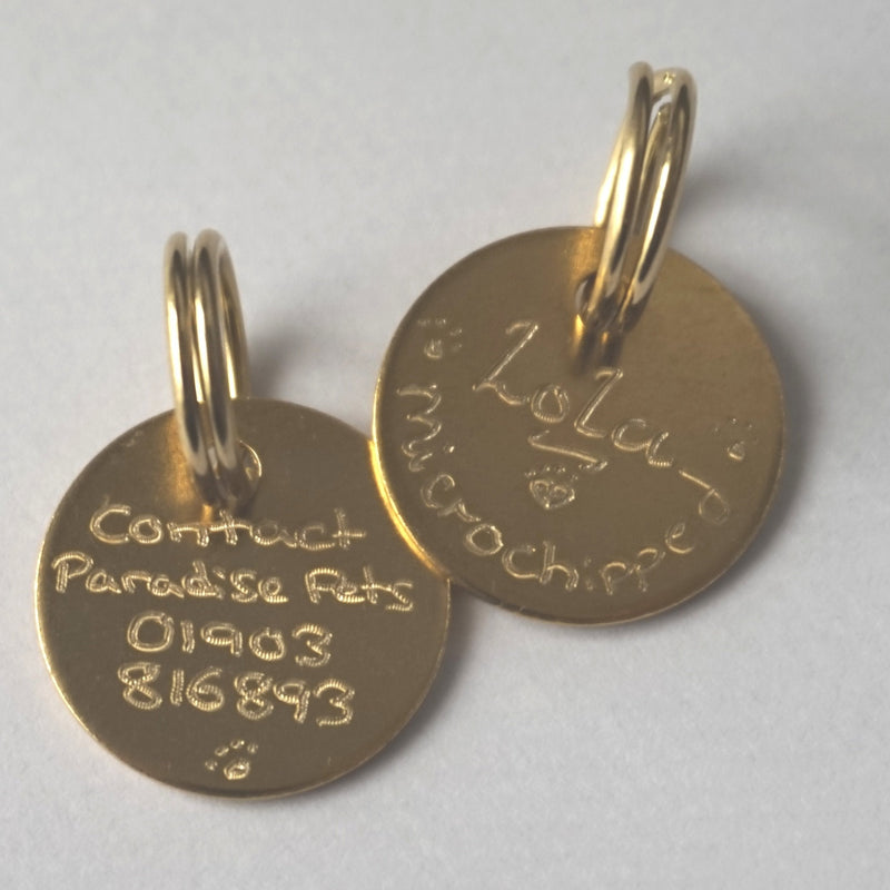 Paradise Pets SOLID BRASS CAT ID TAG 20MM HAND ENGRAVED BOTH SIDES + SPLIT RING - PawsPlanet Australia