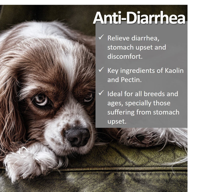 Vet Worthy Anti-Diarrhea for Dogs (8 oz) - PawsPlanet Australia