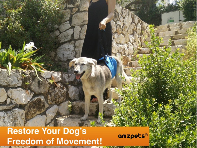 [Australia] - AMZpets Dog Lift Harness Support Sling Helps Dogs with Weak Front or Rear Legs Stand Up, Walk, Get Into Cars, Climb Stairs. Best Alternative to Dog Wheelchair X-Small 