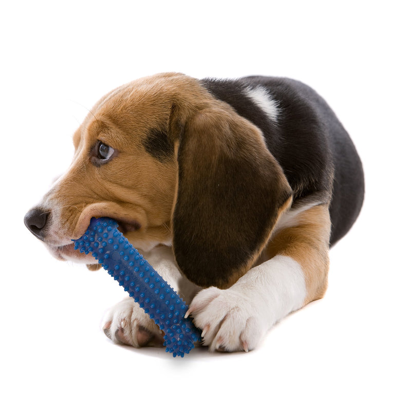 [Australia] - Nylabone Moderate Chew FlexiChew Dental Chew Toy Medium/Wolf - Up to 35 lbs. 