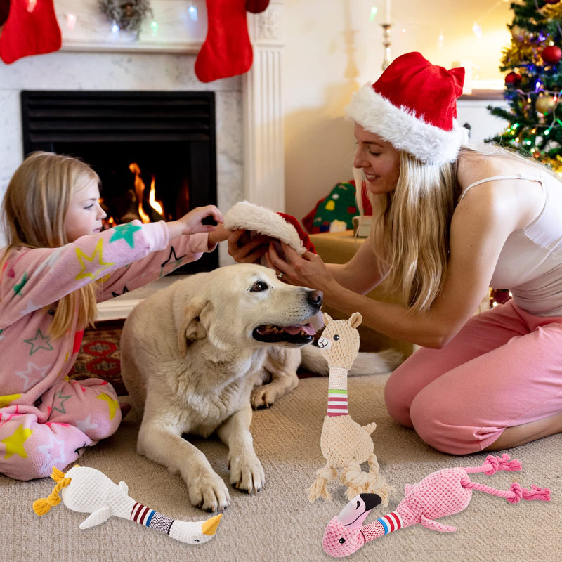 Yzmewael Dog Toy Puppy Toy Squeaky Toy for Dogs, Cuddly Toy Chew Toy Intelligence Dog Toys, Dog Toy Plush for Large Small Dogs and Puppies Pink - PawsPlanet Australia