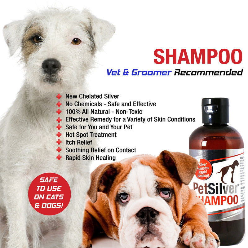 [Australia] - Pet Shampoo with Chelated Silver (8oz) for Dogs and Cats. Skin Infections, Hot Spots, Cuts, Wounds, Flea, Tick and Insect Bites 