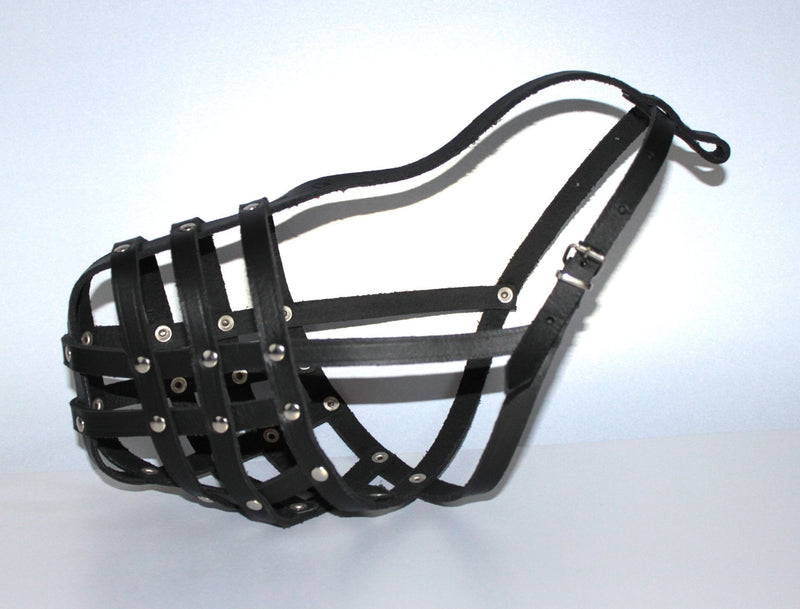 Light Real leather Dog Muzzle American Staffordshire Terrier ,"AmStaff" and Other (Black, A1 - R0) Black - PawsPlanet Australia