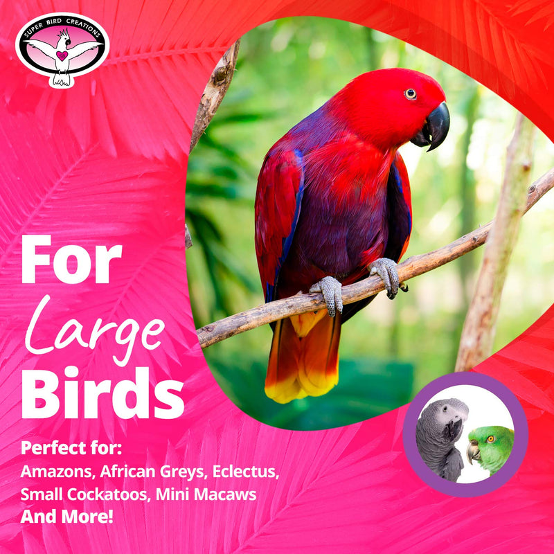 [Australia] - Super Bird Creations SB325 Colorful Cotton Bungee Rope Bird Toy with Ringing Bell, Large Size, 9/10” x 96” 