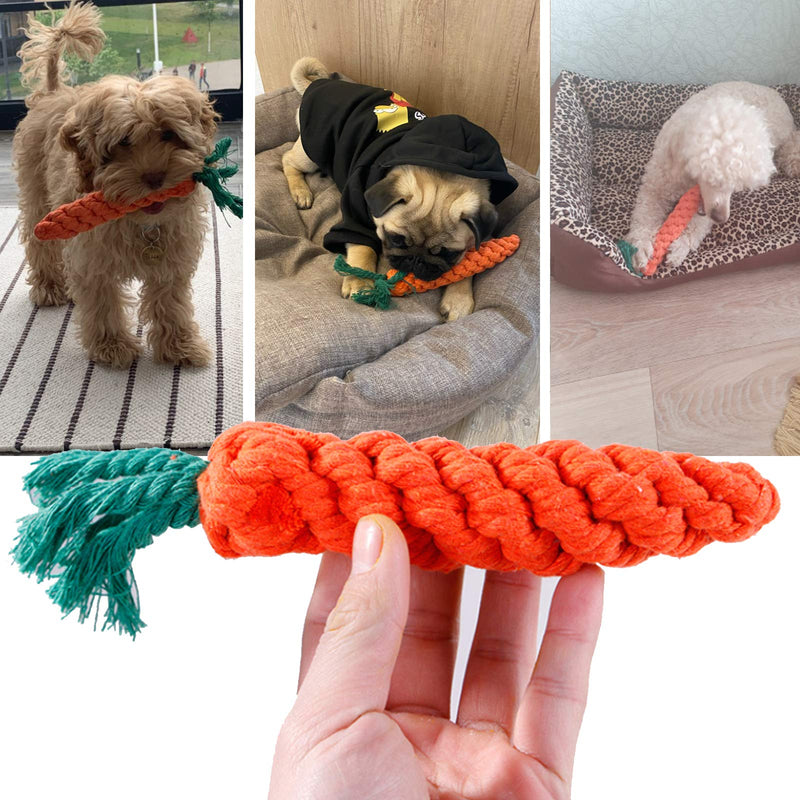 SZSMART Dog Rope Toy for Puppy Teething, Indestructible Dog Toys for Aggressive Chewers, 12pcs Puppy Interactive Braided Rope Toys Set, Puppies Chew Toys for Boredom Chew Teething Tug of War - PawsPlanet Australia