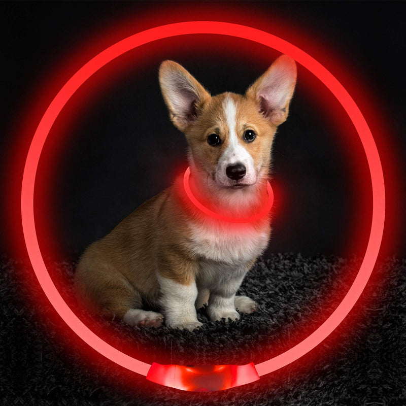 ELANOX LED Dog Collar Rechargeable USB Universal Size Luminous Collar (Red) red - PawsPlanet Australia