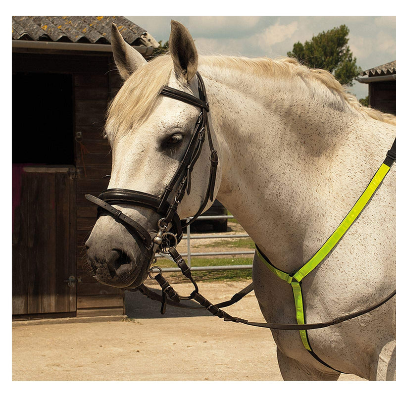 Harlequin Horse Riding Reflective Breastplate Hi-Vis Safe Adjustable Martingale - PawsPlanet Australia