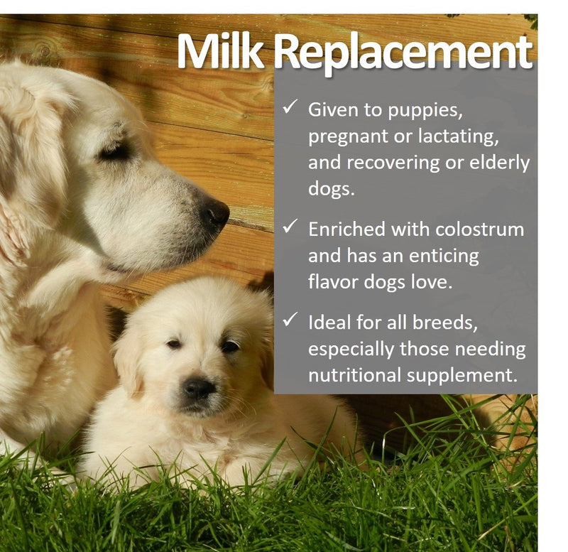 Vet Worthy Milk Replacement for Dogs and Cats Dog - PawsPlanet Australia