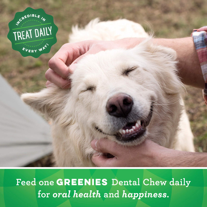 Greenies Original Regular Natural Dental Dog Treats (25-50lb. Dogs) 3 Treats - PawsPlanet Australia