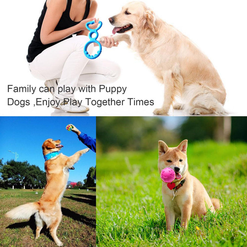 [Australia] - SZKOKUHO 17 Packs Durable Pet Puppy Dog Chew Toys Set Puppy Teething Ball Toys Puppy Rope Dog Tug Toy Safety Design 17 Pcs 