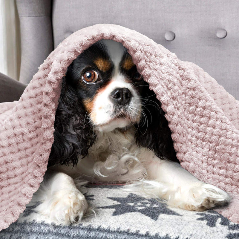 Nobleza Dog Blanket 100x80cm Fluffy Fleece Pet Blankets for Cat Puppy Washable Soft Warm Kitten Sleep Mat Bed Pad Khaki L100*W80cm - PawsPlanet Australia