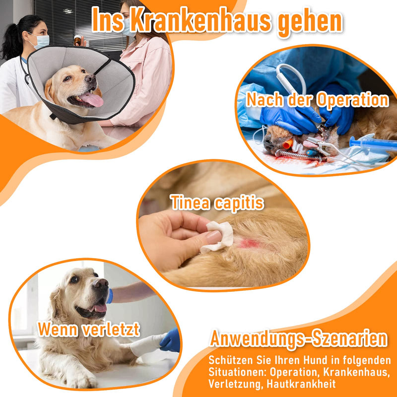 Neck collar for dogs, lightweight comfortable soft recovery Elizabethan collar for pets, adjustable protective collar for dogs, animal collar Elizabethan collar for pets M - PawsPlanet Australia