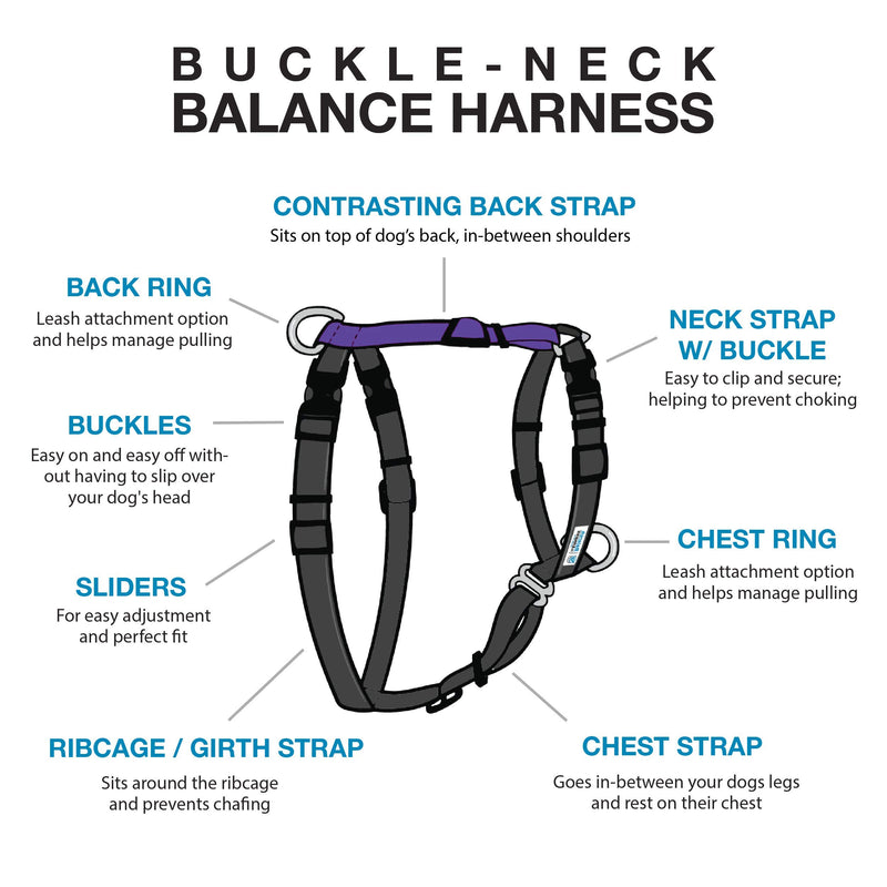 [Australia] - Blue-9 Pet Products Buckle-Neck Balance Harness, 6-Point Adjustable No-Pull Harness, Ideal for Dog Training, Made in The USA Medium/Large Purple 