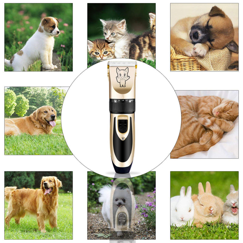 Dog Grooming Kit Clippers, Low Noise, Electric Quiet, Rechargeable, Cordless, Pet Hair Thick Coats Clippers Trimmers Set, Suitable for Dogs, Cats, and Other Pets Gold - PawsPlanet Australia