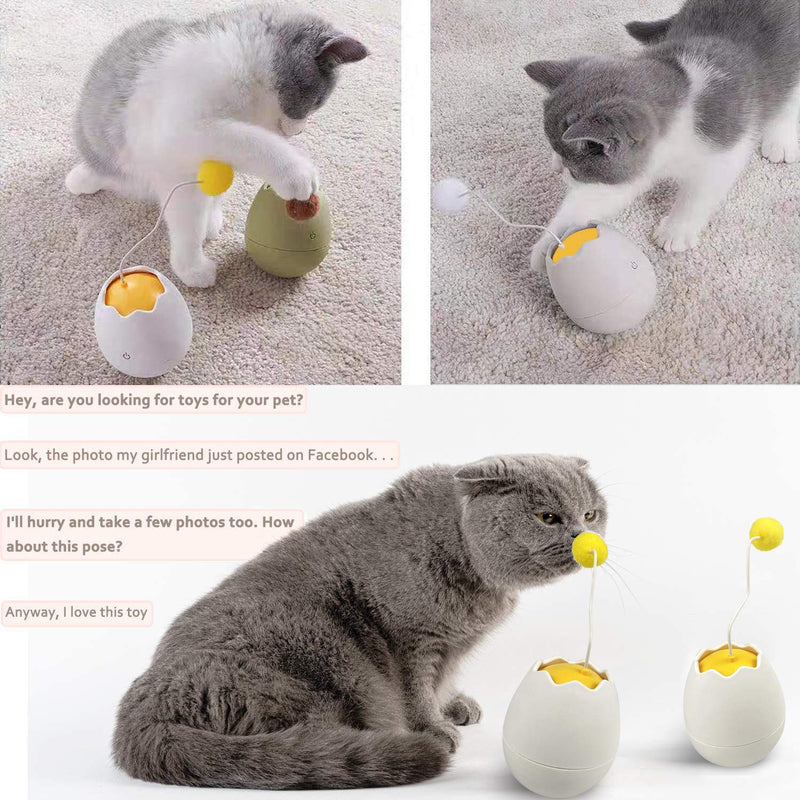 PECHTY Interactive Cat Toys for Indoor Cats, Cat Ball Automatic Irregular Battery Powered 360 Degree Self Rotating Ball, Tumbler Toys for Cats/Kitten - PawsPlanet Australia