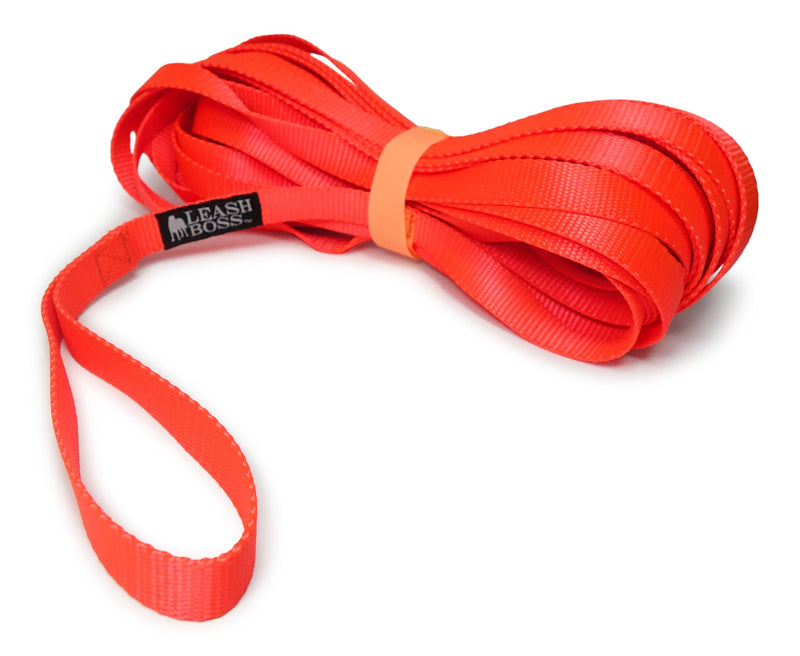 [Australia] - Leashboss Long Trainer - 3/4 Inch Nylon Dog Training Leash with Storage Strap 50 Ft Orange 