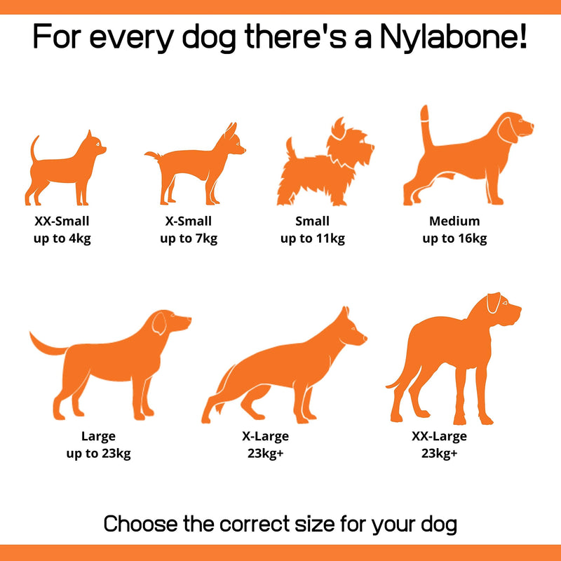 Nylabone 2 x Dura Chew Extreme Tough Dog Chew Toy Bones, 1 Bacon & 1 Chicken, Medium, For Dogs Up To 16 kg - PawsPlanet Australia