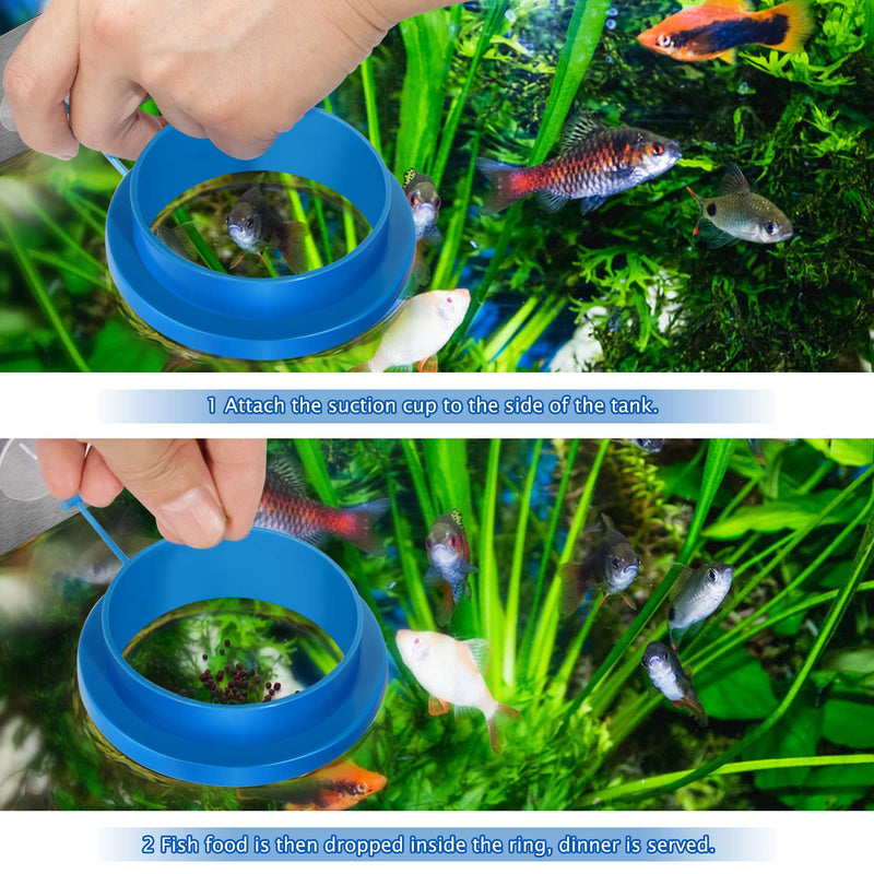 Fischuel Aquarium Feeding Ring Floating Rings Food Feeder Feeding Trough with Suction Cup for Fish Feeder，Round Shape Round Shape-Blue - PawsPlanet Australia