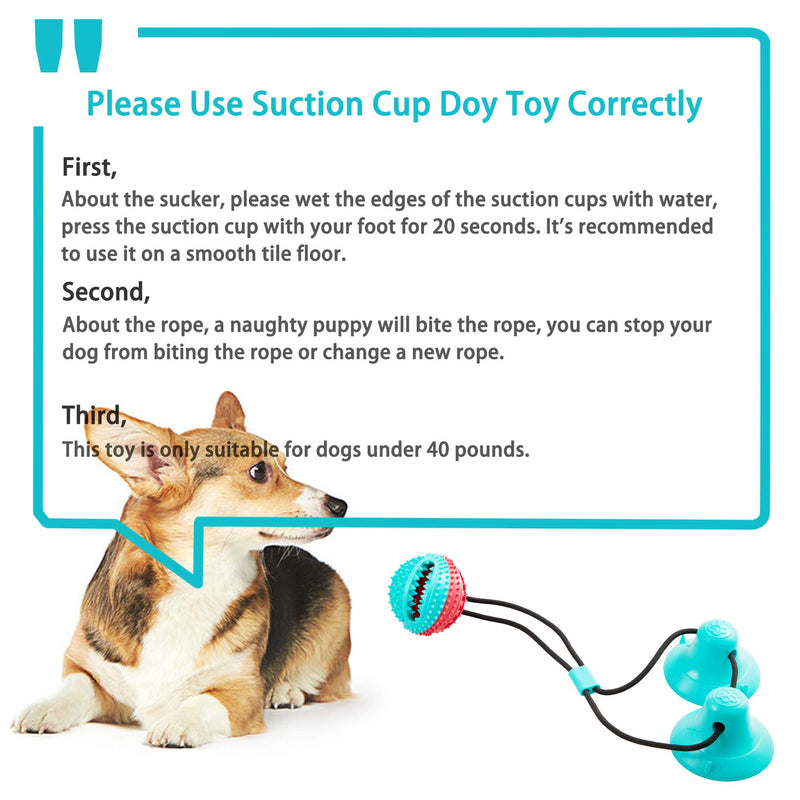 [Australia] - FANZ Dog Tug Toy with Double Suction Cup and Sticker- Interactive Dog Chew Toy for Teeth Cleaning, Pet Molar Bite Toy for Dogs Double Suction Cups 