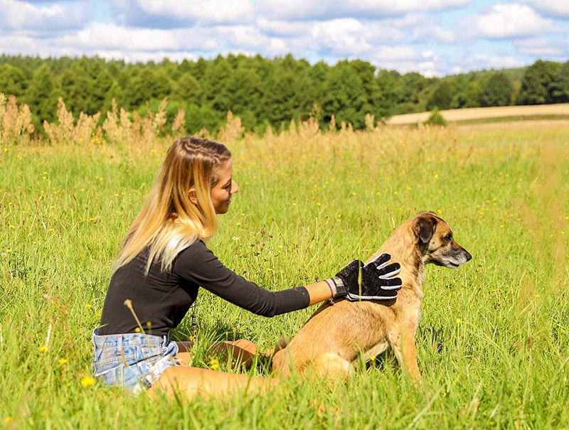 YOOUOOK [Upgraded Version] Pet Grooming Glove,Pet Hair Remover Glove, Pet Clean Massage Gloves,2 in 1 Massage Deshedding Glove Brush with Enhanced Five Finger Design-for Long & Short Fur(1Pcs) Black-New - PawsPlanet Australia