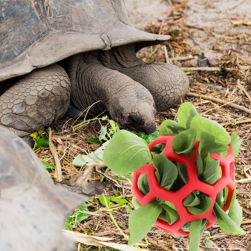 LODCZIOE Turtle Treat Ball Toy Hay Feeder Ball, Feeding Grass Ball for Turtle, Fruit Vegetable Feeder Holder Foraging Toy for Small Animals Pet Red/Excursion, Plain (Getaway Solids) - PawsPlanet Australia