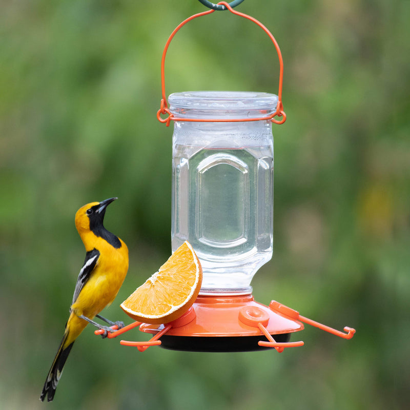 Perky-Pet 9113-2 Top-Fill Glass Oriole Feeder – 22 Oz - PawsPlanet Australia