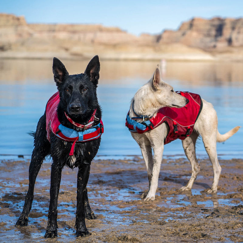 Kurgo Surf 'n Turf Dog Life Jacket, Flotation Vest for Dogs, Reflective, Adjustable, Extra Small-Red Red X-Small - PawsPlanet Australia