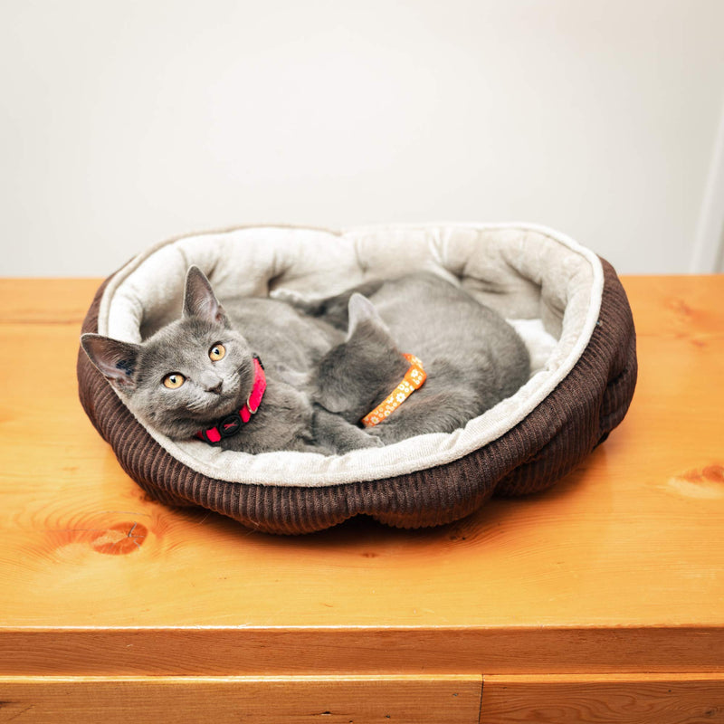 [Australia] - Simple Sleeper Self Warming Cute Calming Cat Bed With Ultra Soft Luxury Plush Including Refillable Catnip Pouch - Perfect for Indoor Cats Brown 