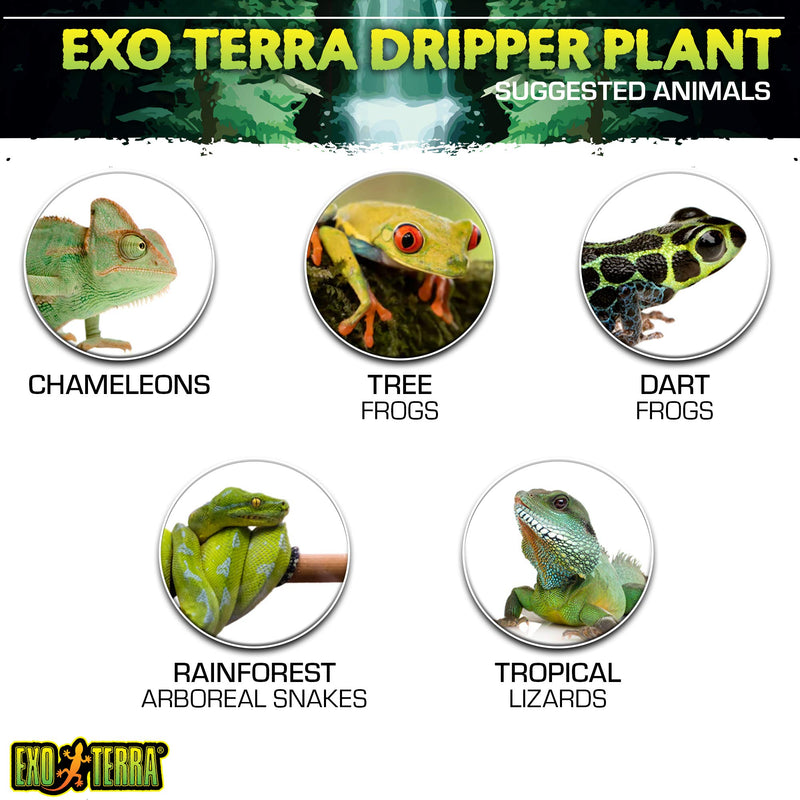Exo Terra Dripper Plant, Small S - PawsPlanet Australia