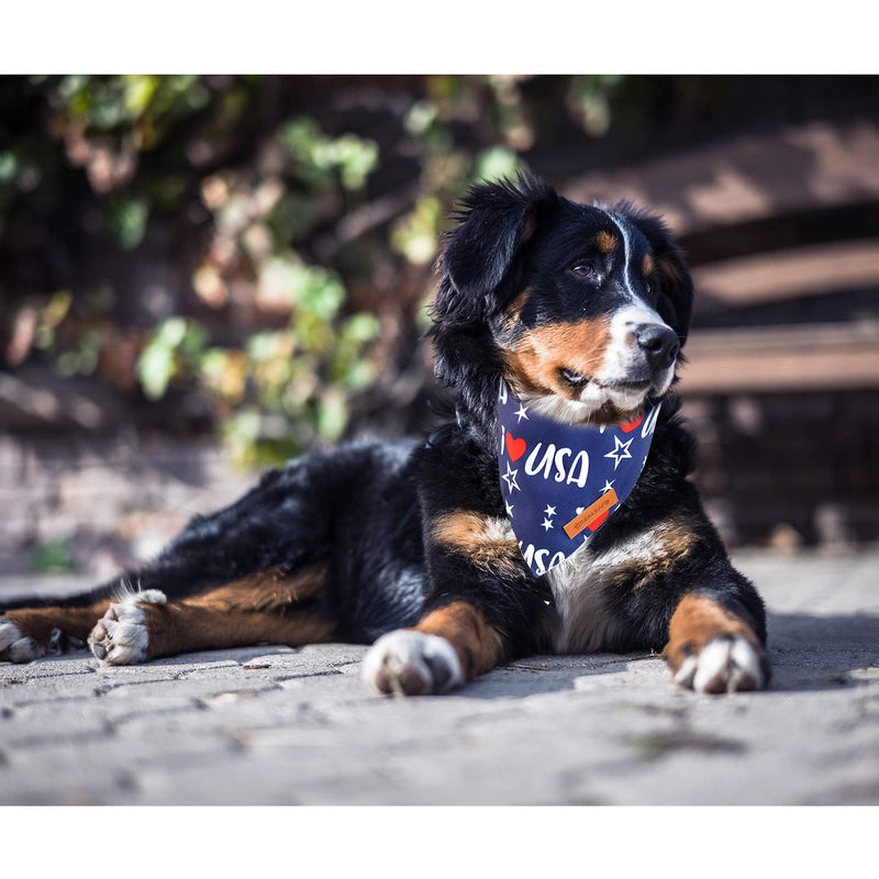 Realeaf Holiday Dog Bandanas 2 Pack, Triangle Reversible Scarves Bibs for Dogs, Premium Durable Fabric, Bandana for Small Medium Large and Extra Large Dogs Pets 4th of July - PawsPlanet Australia
