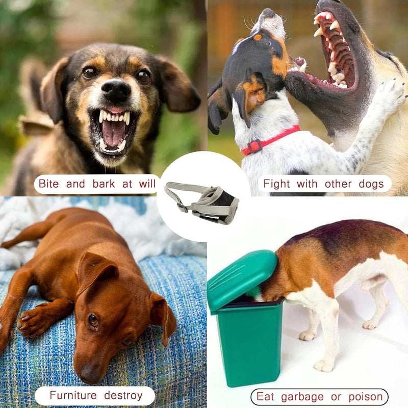 Muzzle, Muzzle Small Dogs, Muzzle Medium Dogs, Muzzle Labrador, Dog Muzzle, Poison Bait Protection Dog, Dog Muzzle, Muzzle for Large Dogs, Muzzles for Small, Medium, Large Dogs - PawsPlanet Australia