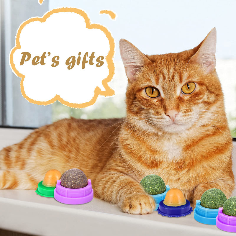 Sumind 6 Pieces Catnip Wall Balls Toys and 6 Pieces Cat Candy Rotatable Catnip Ball Cat Toy Removable Catnip Edible Balls Chewing Cleaning Teeth Toy Licking Toys for Cats Kitten - PawsPlanet Australia