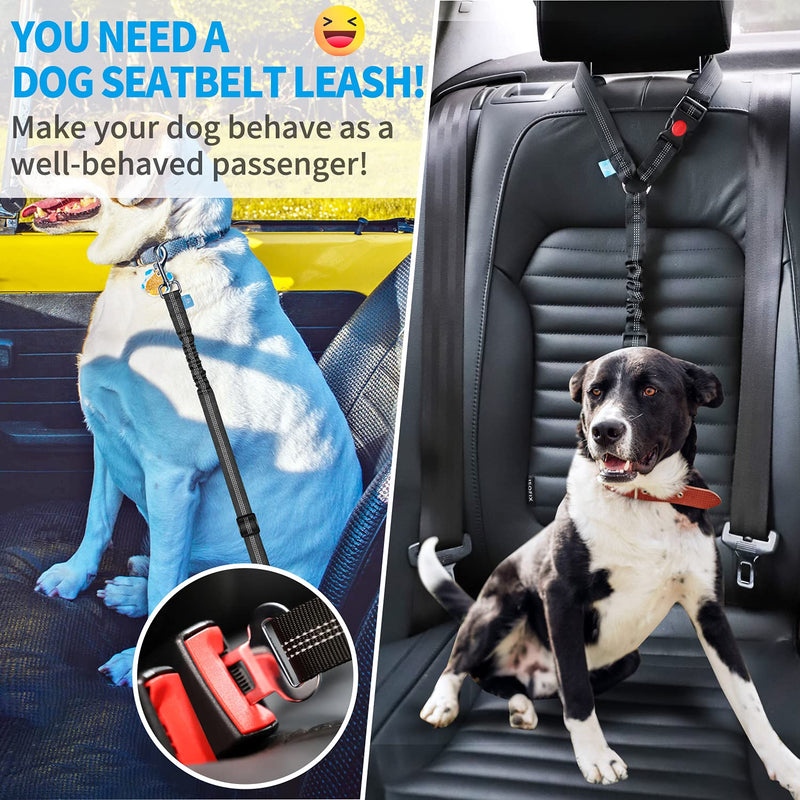 BAAPET Dog Seatbelt Leash for Cars, 2-Packs Pet Safety Seat Belt Harness with Shock Absorbing Bungee and Reflective Threads for Car Dogs Restraint Black+Black (Standard+Headrest) - PawsPlanet Australia