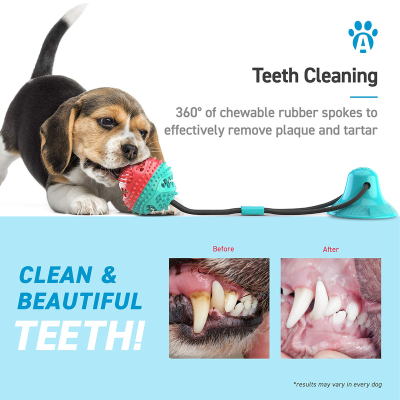 AnyPet Dog Dental Care Toothbrush Chew Toy with Food Dispenser with Suction Cup - PawsPlanet Australia