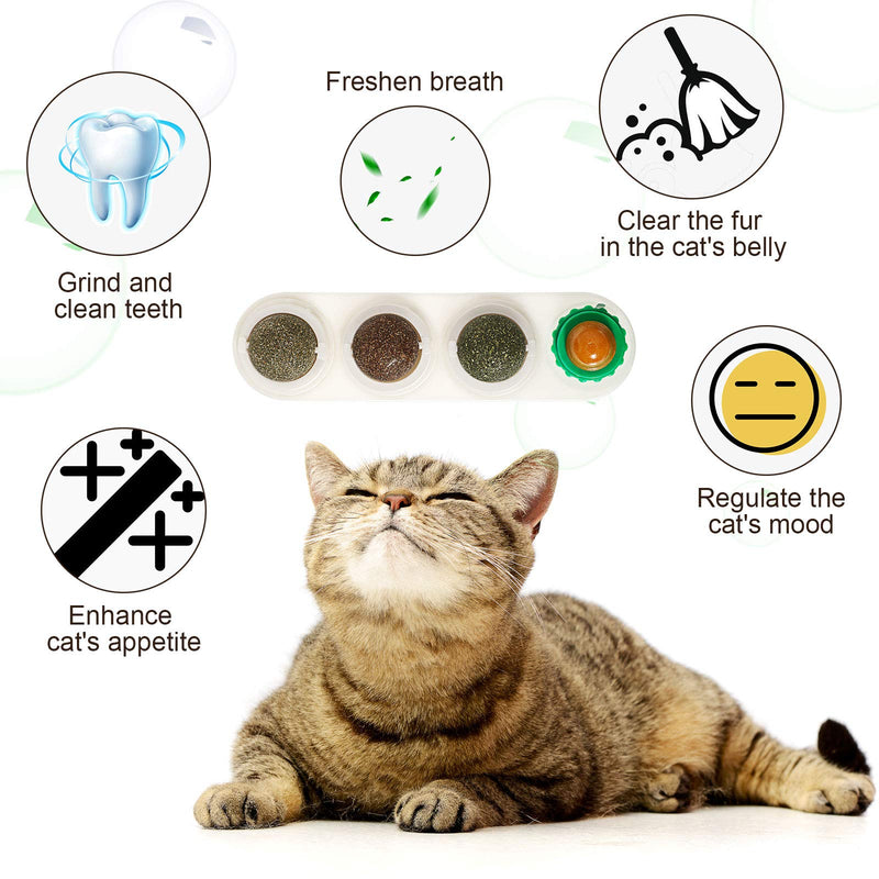 SKYLETY 2 Pack Catnip Wall Ball Rotatable Removable Self-Adhesive Edible Licking Balls Natural Catnip Silvervine Gall Nut Cat Treats Toys for Indoor Cats Kitten Kitty Playing Chewing Cleaning Teeth - PawsPlanet Australia