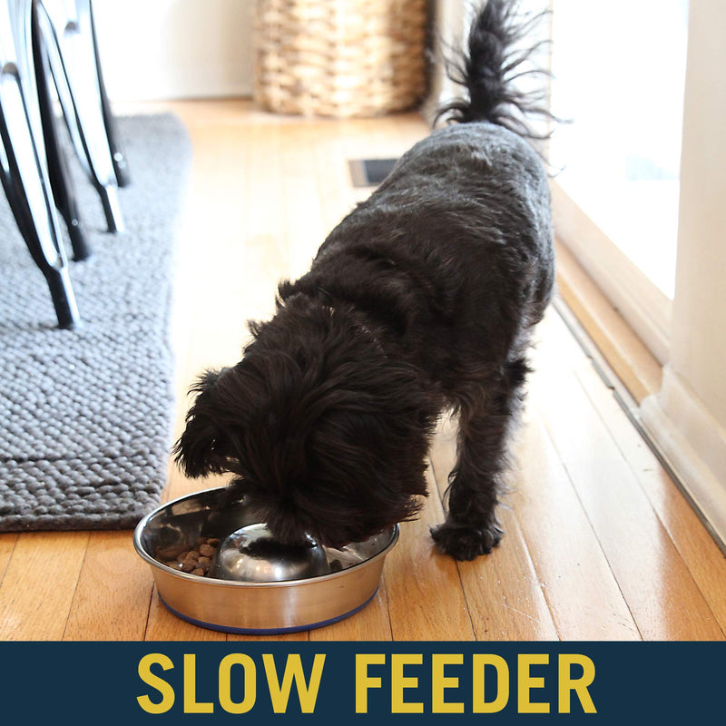 OurPets Slow Feeder Dog Bowls or Slow Feeder Insert, Slow Eating Stainless Steel Dog Bowls or Spiral Slow Feeder Bowl Insert. Great Dog Food Bowl for Small, Medium, and Large Breed Dogs or Cat Bowl - PawsPlanet Australia