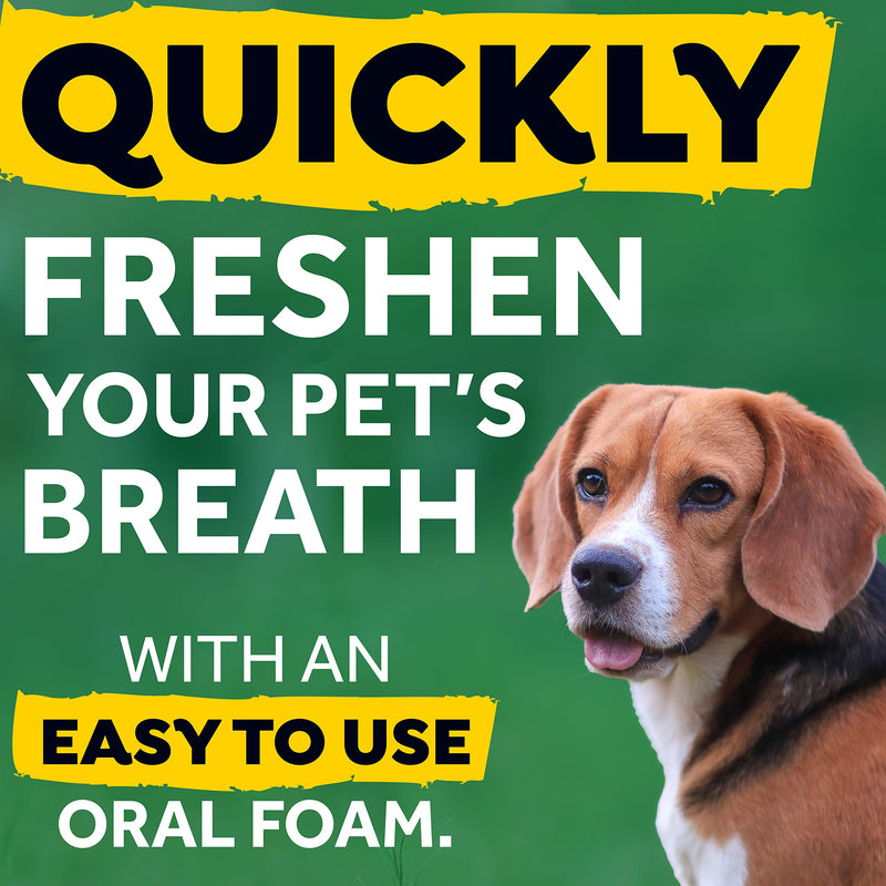 TropiClean Fresh Breath Dog Teeth Cleaning Foam - Dental Care Solution - Breath Freshener Oral Care - Foam for Bad, Smelly Dog Breath - Derived from Natural Ingredients, Mint, 4.5oz - PawsPlanet Australia