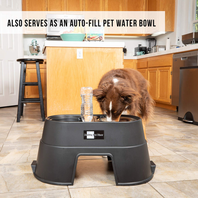 Our Pets Comfort Feeder Healthy Pet Diner Raised Dog Bowls Elevated Feeder Double Stainless Steel Bowls with Stand Black 12-Inch - PawsPlanet Australia