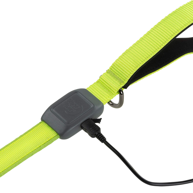 [Australia] - Nite Ize NiteDog Rechargeable LED Leash, USB Rechargeable 5 Foot Light Up Dog Leash w/Padded Handle Lime 