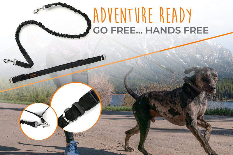 Mighty Paw Hands Free Dog Leash | Premium Runners Pet Lead and Adjustable Hip Belt. Lightweight Reflective Bungee System for Training, Walking, Jogging, Hiking and Running. 36 inch Black - PawsPlanet Australia